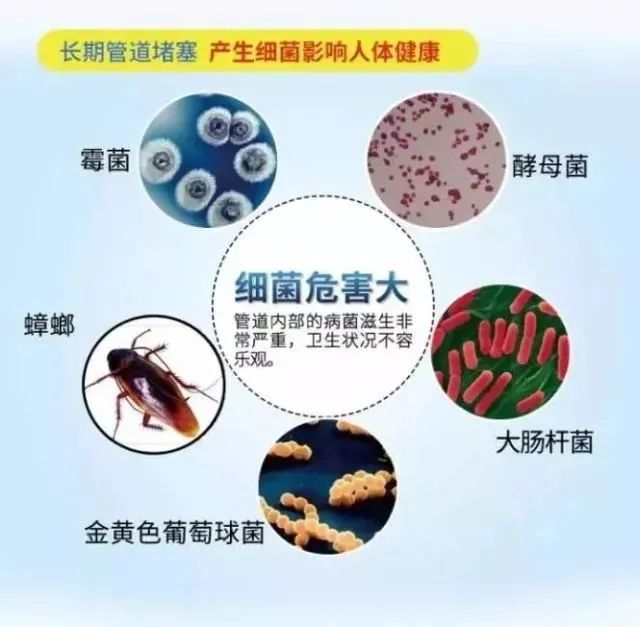 下水道堵塞怎么办？15分钟快速溶解厨卫毛发残渣，不伤管道轻松解决